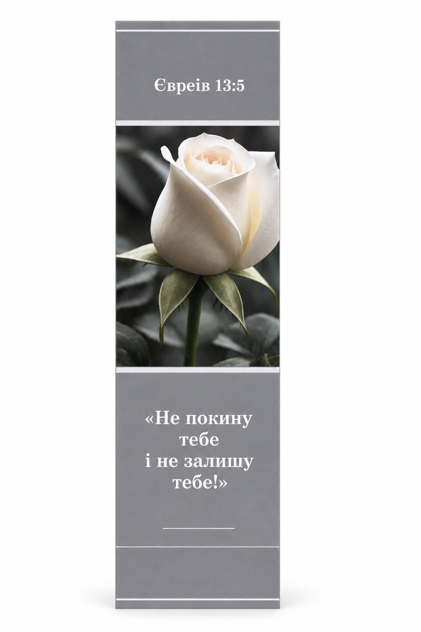 White rose and Ukrainian Hebrews 13:5 on gray background