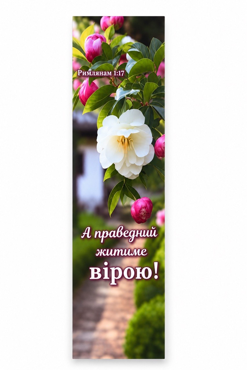 White blossom and pink buds with Ukrainian Romans 1:17
