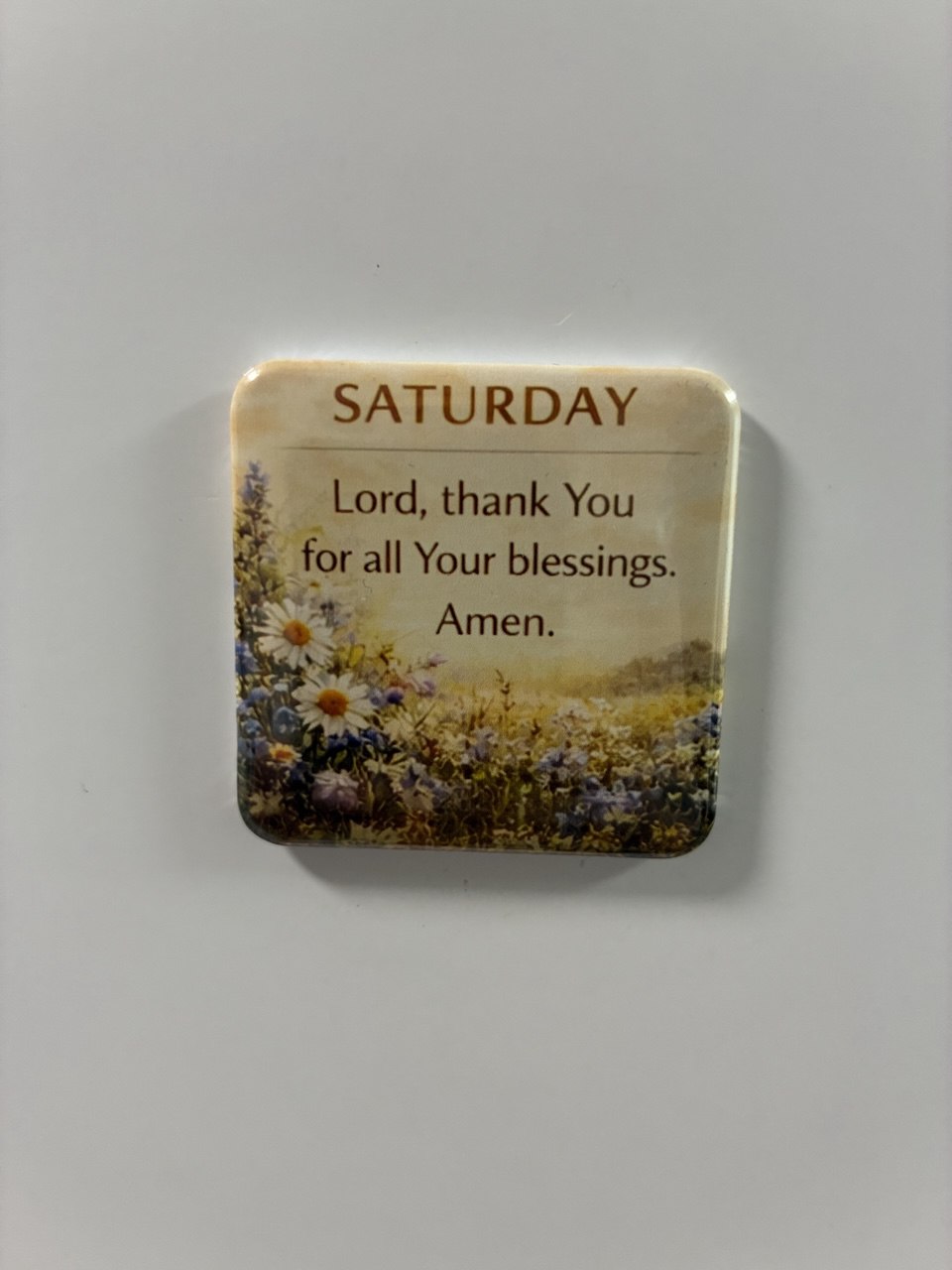 Motivation christian magnet set week