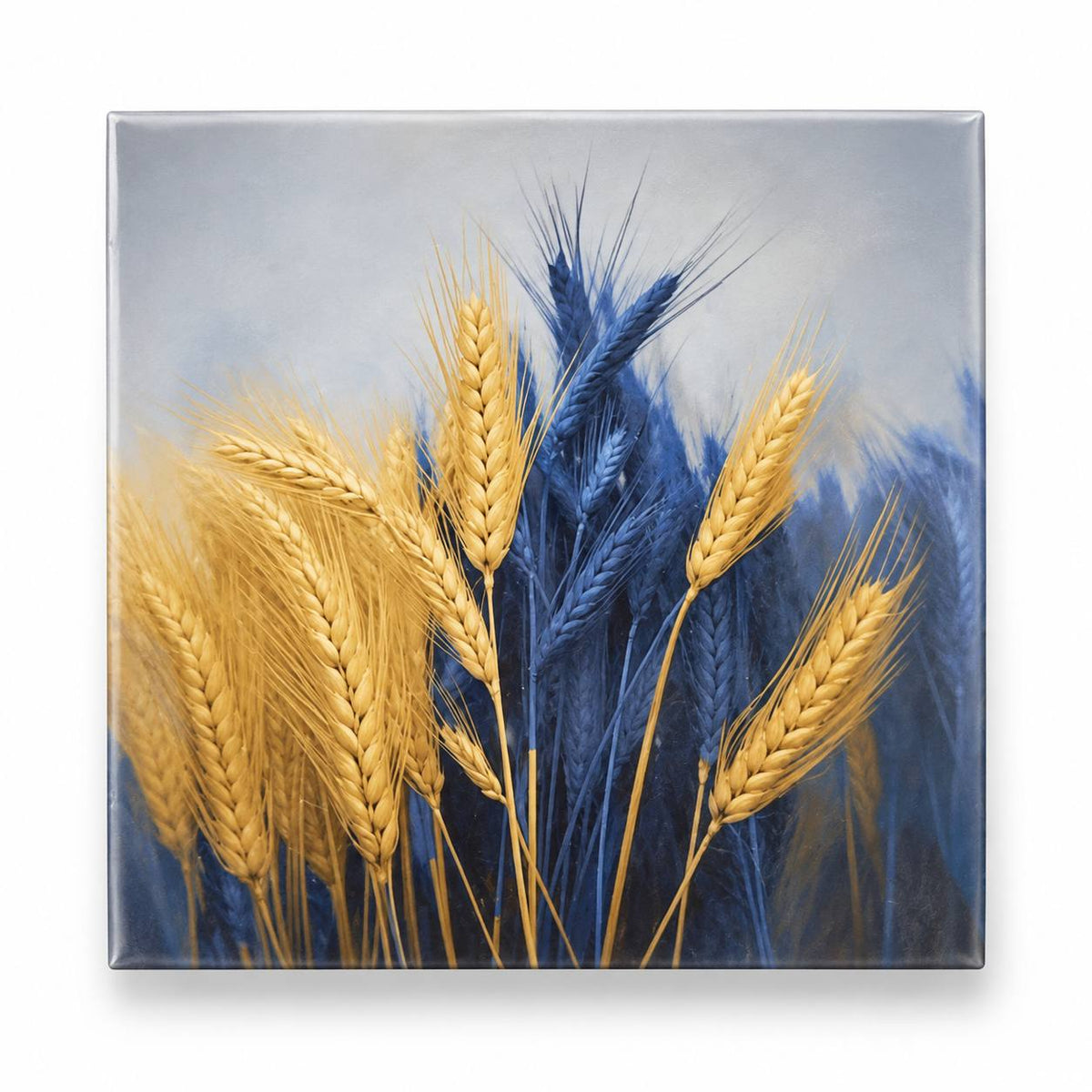 Square refrigerator magnet featuring golden and blue wheat stalks