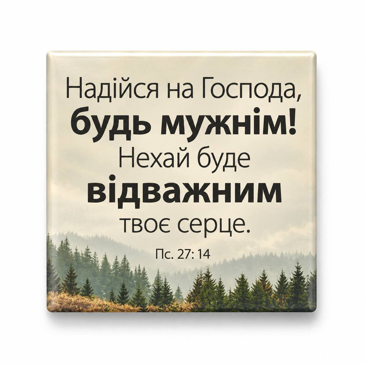 Ukrainian Bible verse Psalm 27:14 over cream forest landscape at sunrise